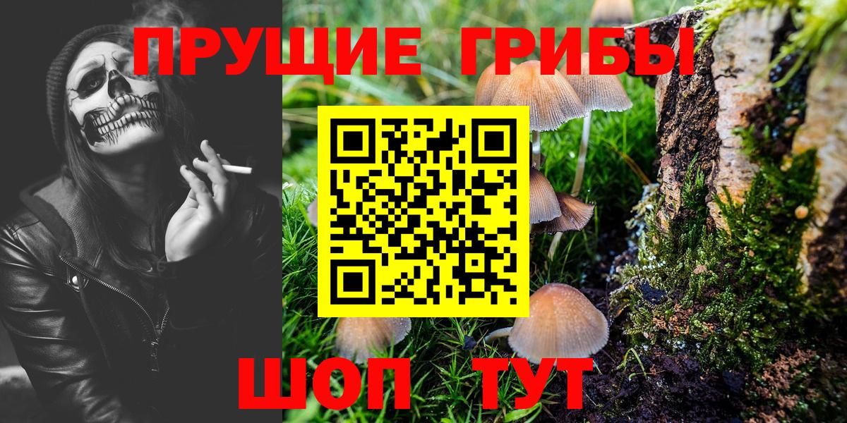 Галлюциногенные грибы мицелий Симферополь